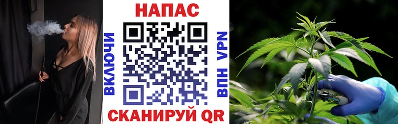 МАРИХУАНА тримм  Новоузенск 